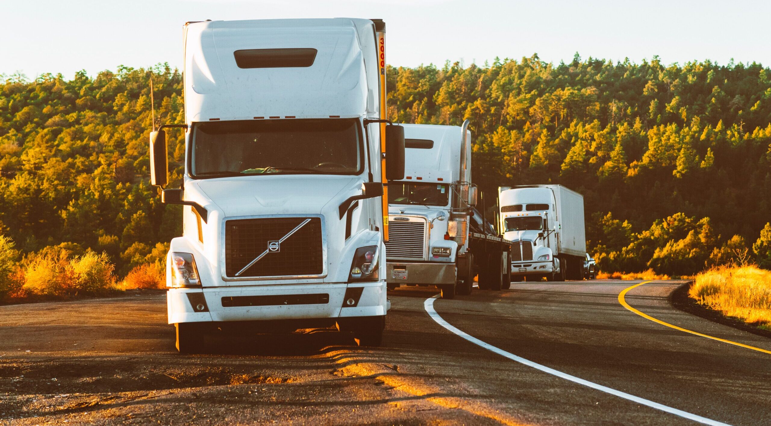 Fleet of Semi-Trucks